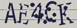 Retype the CAPTCHA code from the image